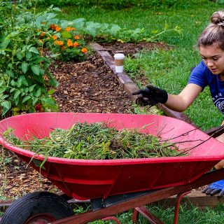 Ash Brokerage Cleans Up Garden at Camp