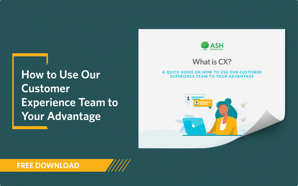 Concept-Piece-Download-10106-How-to-Use-Our-Customer-Experience-Team-to-Your-Advantage