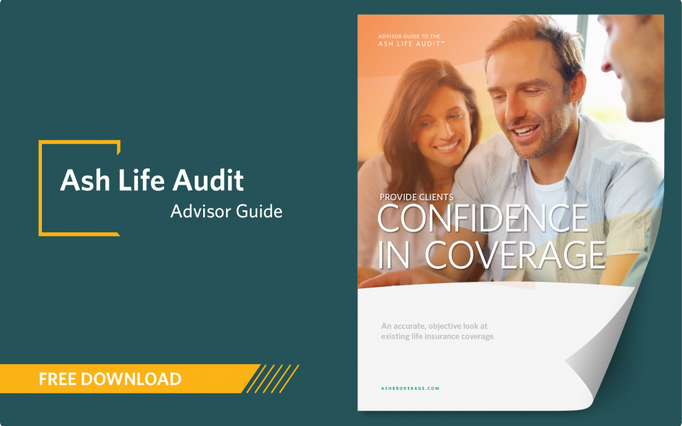 concept-piece-download-40018-life-audit-advisor-guide