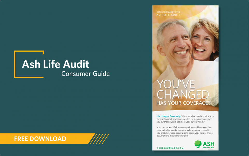 concept-piece-download-40017-life-audit-consumer-guide