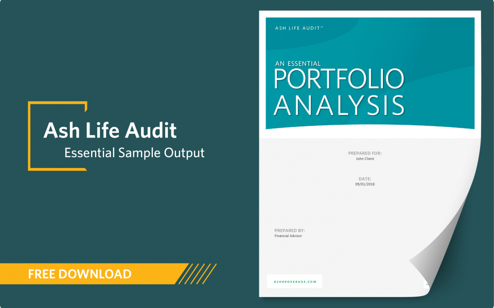 concept-piece-download-ash-life-audit-essential-sample-output