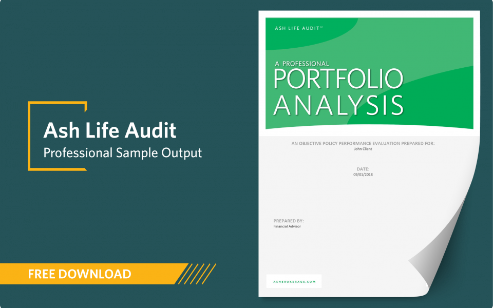 concept-piece-download-ash-life-audit-professional-sample-output